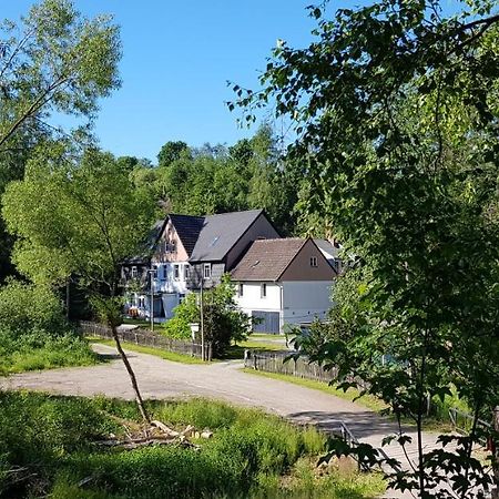 Naturferienhaus Luppbodemuhle Allrode Bagian luar foto