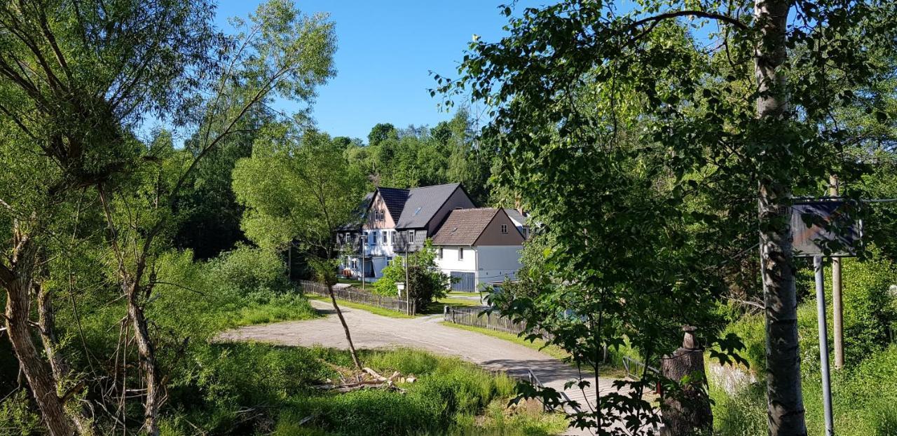 Naturferienhaus Luppbodemuhle Allrode Bagian luar foto