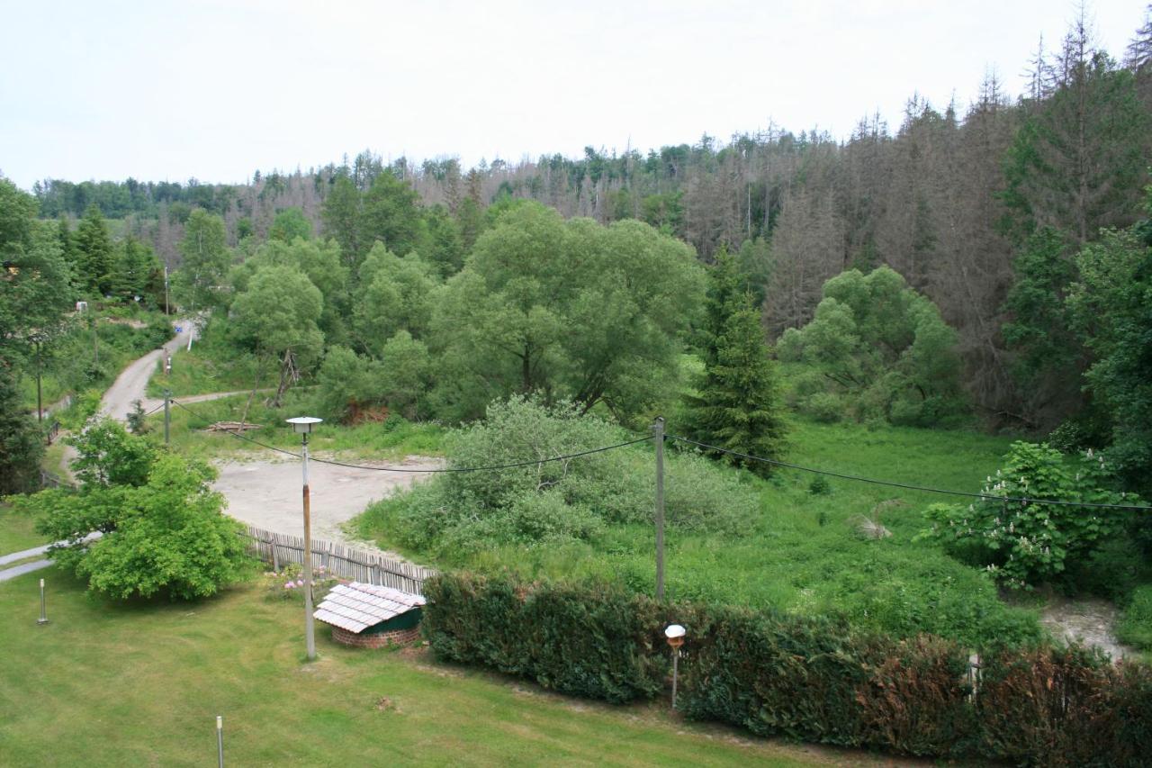 Naturferienhaus Luppbodemuhle Allrode Bagian luar foto