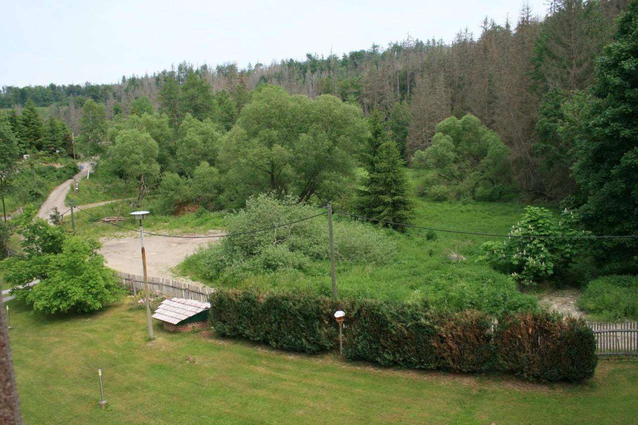 Naturferienhaus Luppbodemuhle Allrode Bagian luar foto