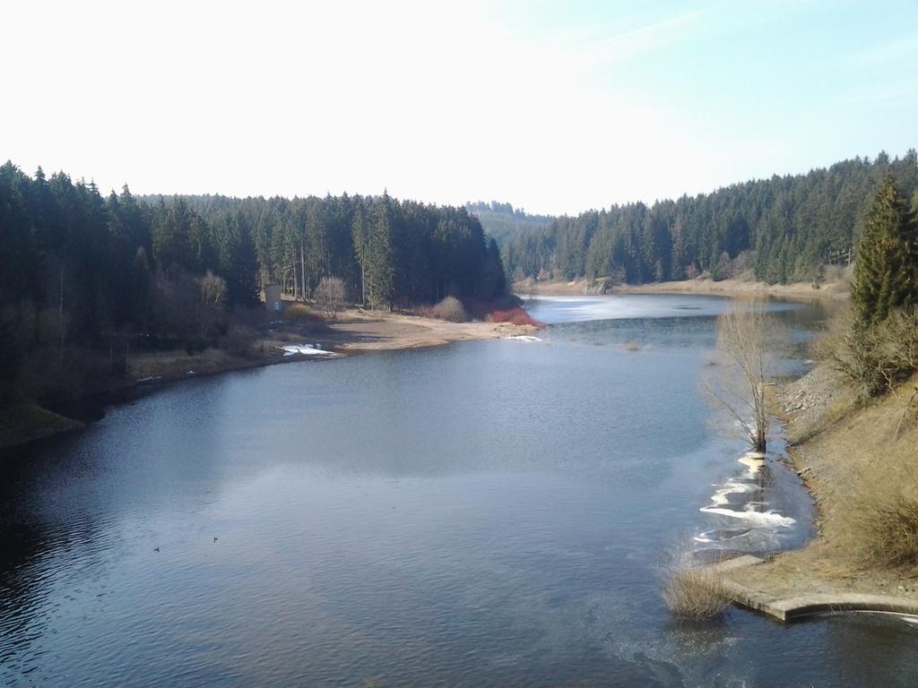 Naturferienhaus Luppbodemuhle Allrode Bagian luar foto