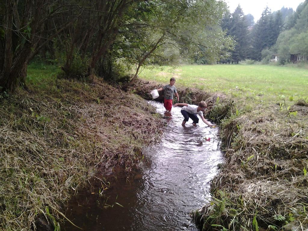 Naturferienhaus Luppbodemuhle Allrode Bagian luar foto