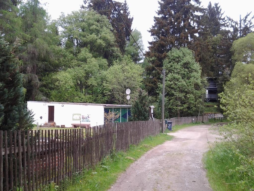 Naturferienhaus Luppbodemuhle Allrode Bagian luar foto