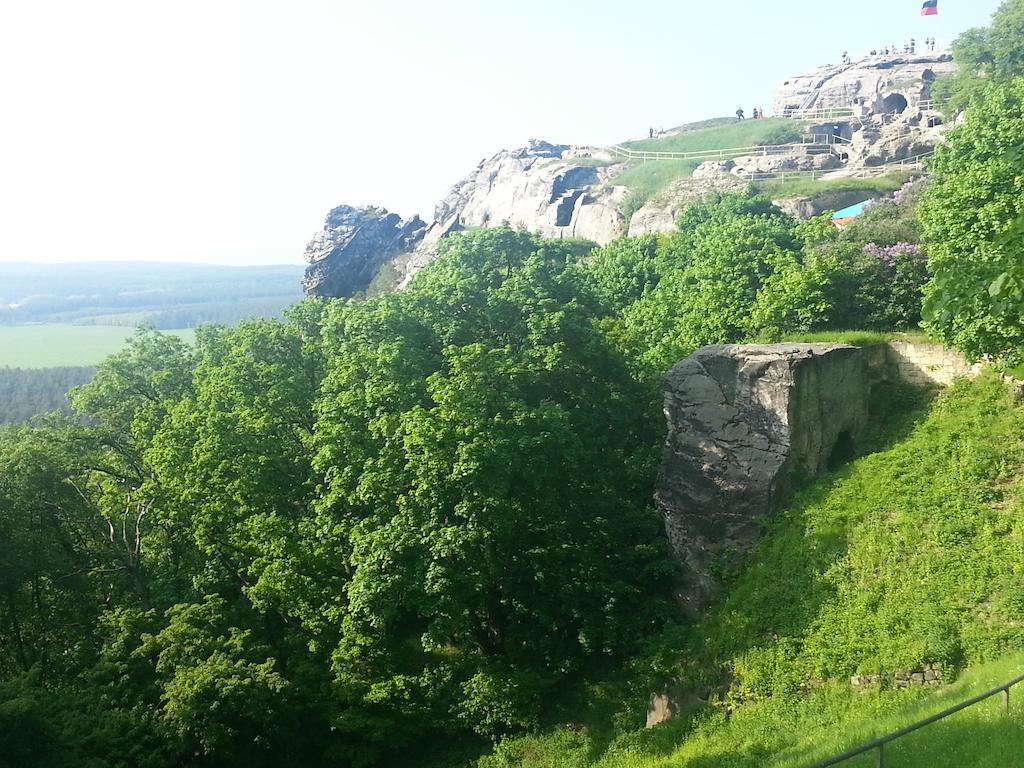 Naturferienhaus Luppbodemuhle Allrode Bagian luar foto