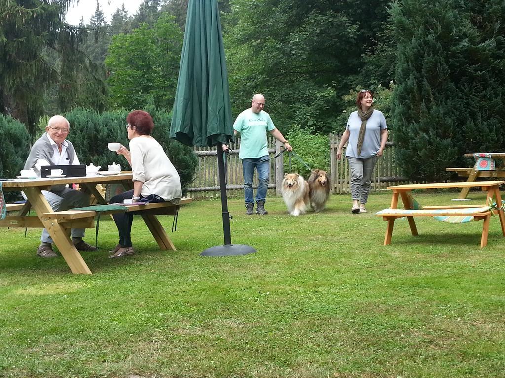 Naturferienhaus Luppbodemuhle Allrode Bagian luar foto