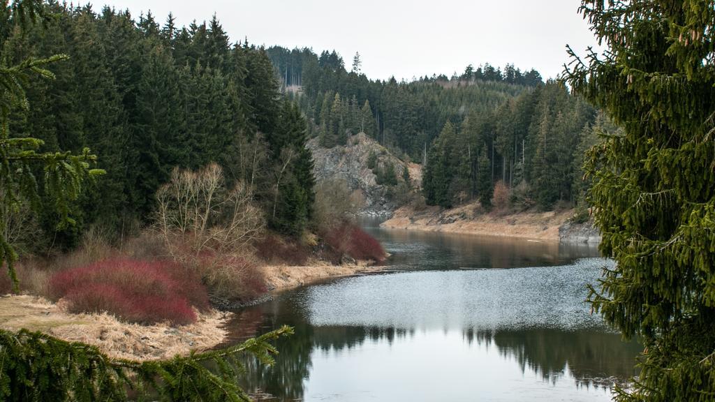 Naturferienhaus Luppbodemuhle Allrode Bagian luar foto