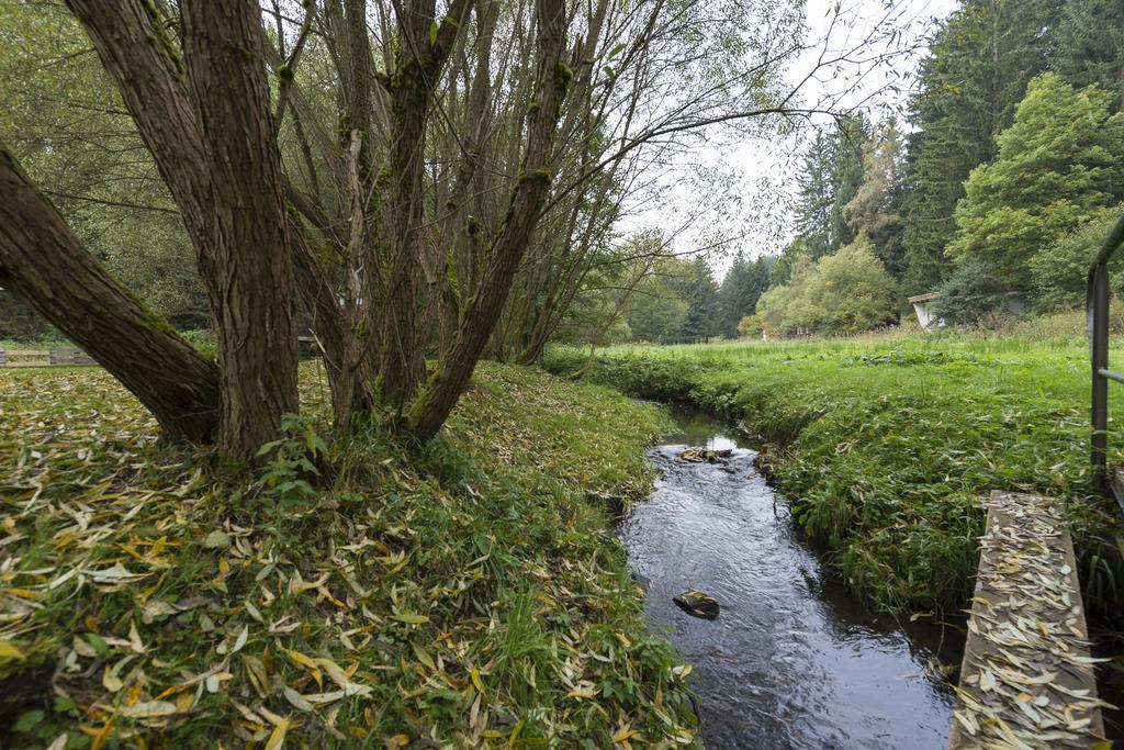 Naturferienhaus Luppbodemuhle Allrode Bagian luar foto