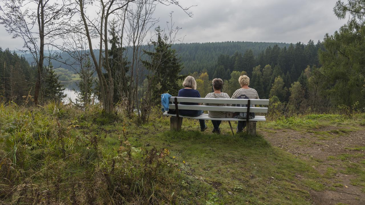 Naturferienhaus Luppbodemuhle Allrode Bagian luar foto